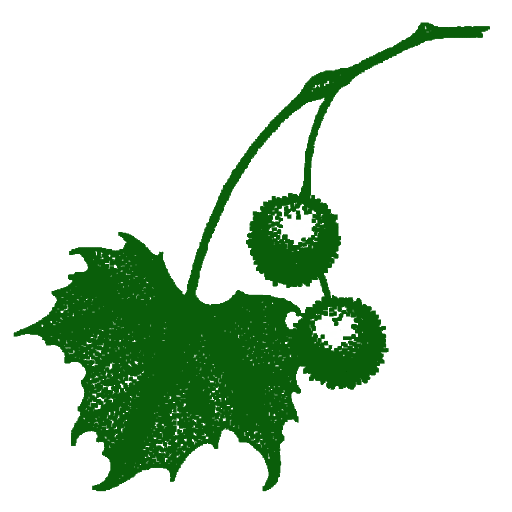 Willistown Conservation Trust